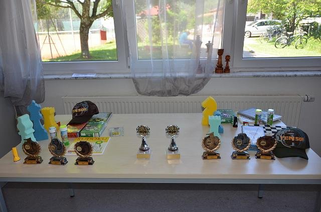 2013-06-Schach-Kids-Turnier-Klasse 3 und 4-177